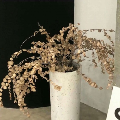 兽设赛博风格设计兽圈社群